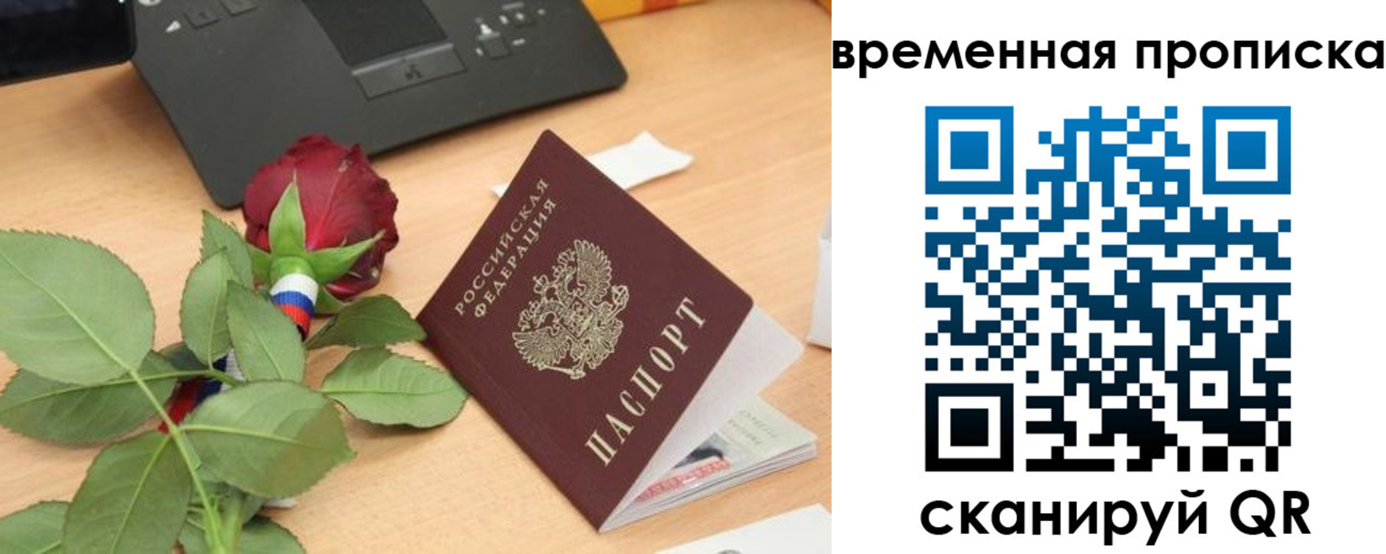 временная регистрация поиск в Челябинской области